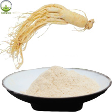 Vendas diretas ginseng pó raízes extrato em pó